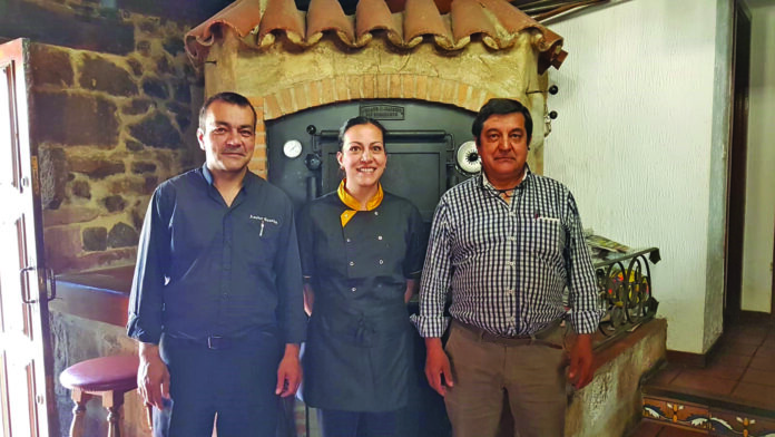 asador gasolina BU (1) asador gasolina