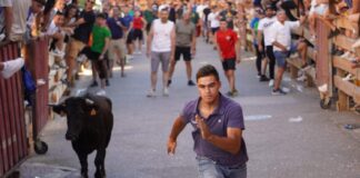 Encierros tradicionales en Torquemada - Agosto 2024