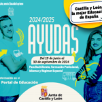 AYUDAS 24 300X250
