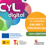 C-40—Cyl-digital24_300x250