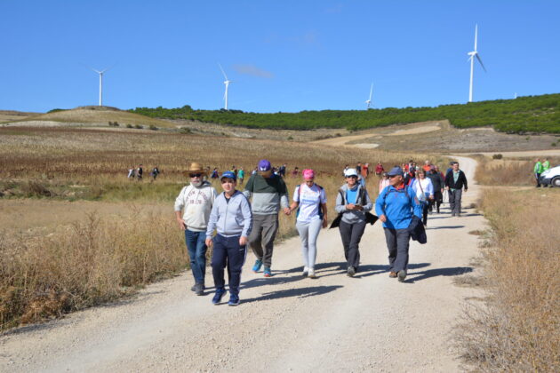 M&aacute;s de 600 personas participan en la XV Marcha Inclusiva del Grupo Fundaci&oacute;n San Cebri&aacute;n