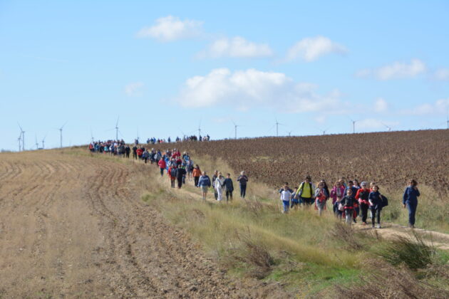 M&aacute;s de 600 personas participan en la XV Marcha Inclusiva del Grupo Fundaci&oacute;n San Cebri&aacute;n