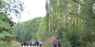 Más de 600 personas participan en la XV Marcha Inclusiva del Grupo Fundación San Cebrián