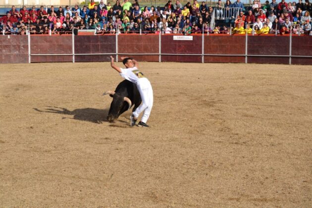 FIESTAS DE ASTUDILLO 2024 - Festejos taurinos. Concurso de cortes. Marisa Franco.