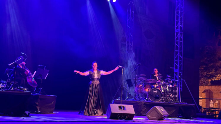 Festival A Concejo Internacional - San Antol&iacute;n 2024