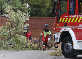 Los bomberos de Palencia registran ya más de una docena de salidas debido al viento causado por la borrasca ‘Kirk’
