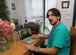 El cannabis como medicina para paliar enfermedades crónicas