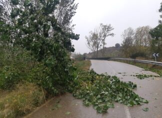 Vientos de ‘multa’ en la provincia de Palencia