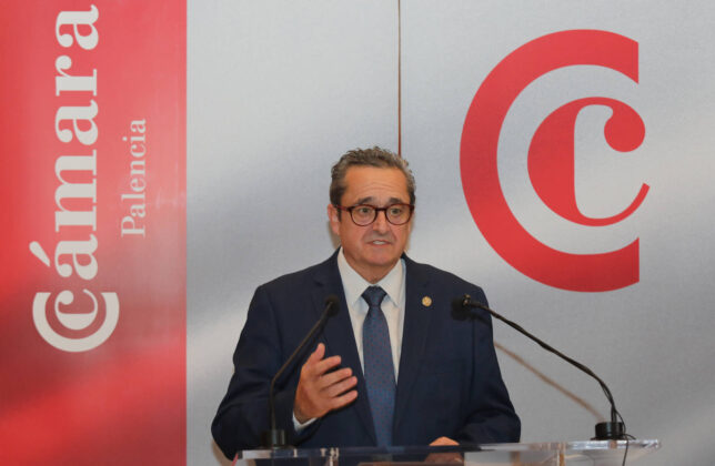 51&ordm; Premios C&aacute;mara de Comercio (1)