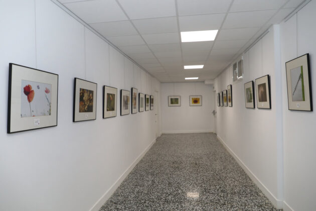 Br&aacute;gimo - Zona dedicada a exposiciones en la sede de la AECC en Palencia