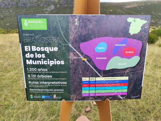 Bra&ntilde;osera celebra el 1.200 aniversario de su Fuero