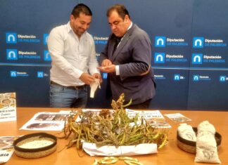 Saldaña celebra su tradicional Feria de la Alubia este fin de semana El diputado de Desarrollo Socioeconómico y Turismo, Francisco Pérez, junto al alcalde de Saldaña, Adolfo Palacios en la presentación de la Feria de la Alubia de Saldaña