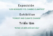 La Exposición “Los Bosques y el cambio climático” de la UVA llega a Vietnam Exposición “Los Bosques y el cambio climático” en Vietnam