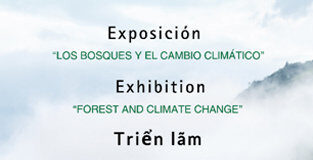 Exposición “Los Bosques y el cambio climático” en Vietnam