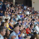 (FILEminimizer) DSC09474