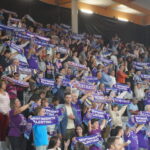 (FILEminimizer) DSC09481