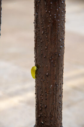 La Exposici&oacute;n &ldquo;PERCEPCIONES&rdquo; inaugura sus veladas en el CEAS Fern&aacute;ndez Nieto