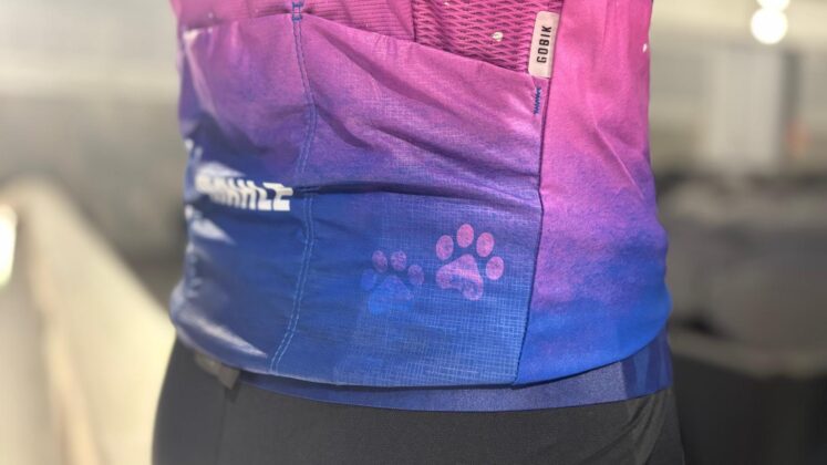 Un maillot con alma palentina dise&ntilde;ado por el artista Miguel Berzosa