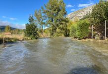 UCCL considera necesario habilitar un plan de ayudas para reconstruir las instalaciones agrícolas dañadas por el temporal