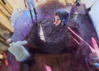 Baltanás celebra mañana su Día de Lagares lagares baltanas