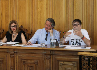 IU-Podemos destaca “la necesidad de volver a limitar los plenos que se cobran” en el Ayuntamiento de Palencia Pleno Ordinario y Extraordinario del Ayuntamiento de Palencia