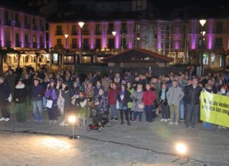 (Galería) Marcha y concentración en Palencia por el 25-N