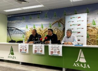 ASAJA, UPA y COAG anuncian nuevas movilizaciones: “No podemos seguir trabajando a pérdidas” ASAJA, UPA y COAG en rueda de prensa