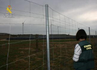 Imagen compartida por la Guardia Civil