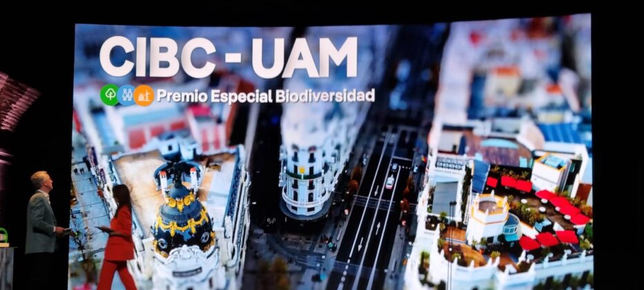 II Edici&oacute;n Premios Convive