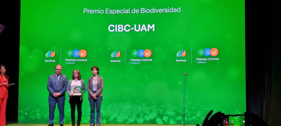 II Edici&oacute;n Premios Convive