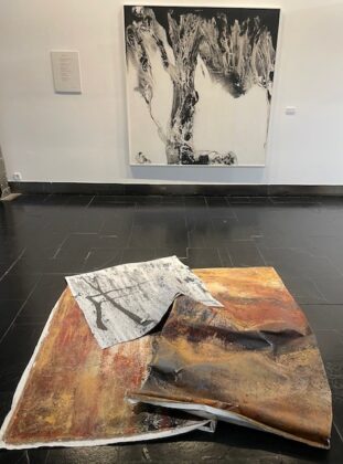 Exposici&oacute;n de Fernando Palacios en el Museo de Palencia