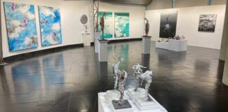 Exposición de Fernando Palacios en el Museo de Palencia