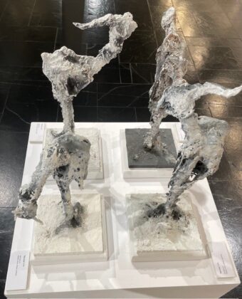 Exposici&oacute;n de Fernando Palacios en el Museo de Palencia