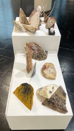 Exposici&oacute;n de Fernando Palacios en el Museo de Palencia