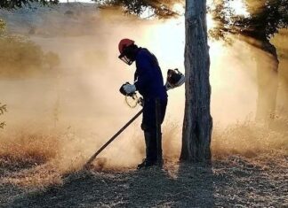 La Diputación de Palencia recibirá 624.000 euros de la Junta para contratar desempleados para labores forestales Una persona contratada por Diputación para labores forestales en campañas anteriores.