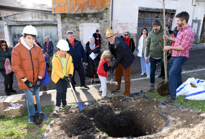 Árbol Fele Martínez