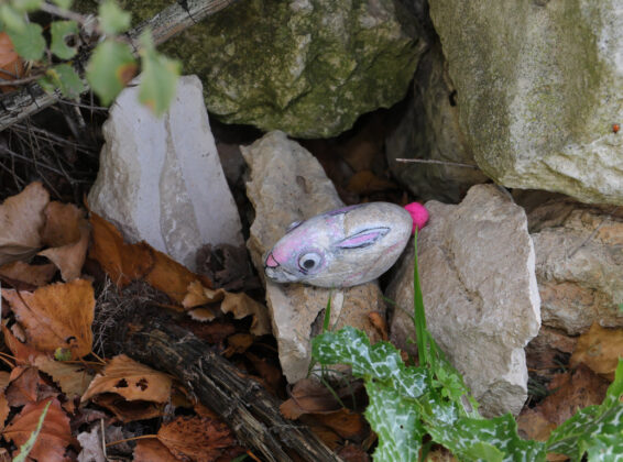 Br&aacute;gimo - Un proyecto de puesta en valor de su arbolado nacido de una iniciativa vecinal de las localidades palentinas de Valoria del Alcor y Ampudia participa en un concurso del Ministerio de Medioambiente y Transici&oacute;n Ecol&oacute;gica