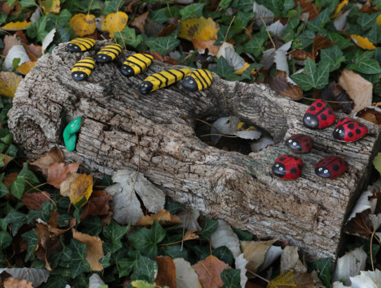 Br&aacute;gimo - Un proyecto de puesta en valor de su arbolado nacido de una iniciativa vecinal de las localidades palentinas de Valoria del Alcor y Ampudia participa en un concurso del Ministerio de Medioambiente y Transici&oacute;n Ecol&oacute;gica