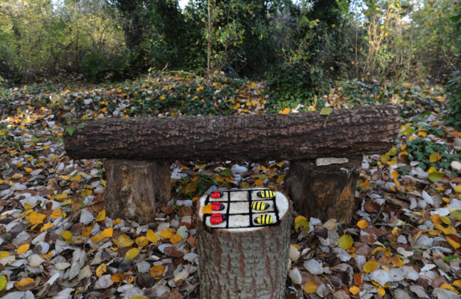 Br&aacute;gimo - Un proyecto de puesta en valor de su arbolado nacido de una iniciativa vecinal de las localidades palentinas de Valoria del Alcor y Ampudia participa en un concurso del Ministerio de Medioambiente y Transici&oacute;n Ecol&oacute;gica