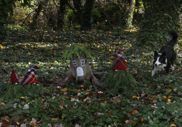 Br&aacute;gimo - Un proyecto de puesta en valor de su arbolado nacido de una iniciativa vecinal de las localidades palentinas de Valoria del Alcor y Ampudia participa en un concurso del Ministerio de Medioambiente y Transici&oacute;n Ecol&oacute;gica