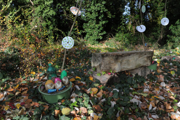 Br&aacute;gimo - Un proyecto de puesta en valor de su arbolado nacido de una iniciativa vecinal de las localidades palentinas de Valoria del Alcor y Ampudia participa en un concurso del Ministerio de Medioambiente y Transici&oacute;n Ecol&oacute;gica