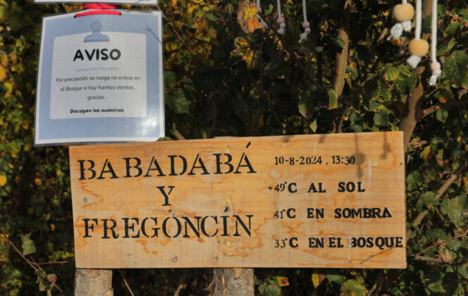 Br&aacute;gimo - Un proyecto de puesta en valor de su arbolado nacido de una iniciativa vecinal de las localidades palentinas de Valoria del Alcor y Ampudia participa en un concurso del Ministerio de Medioambiente y Transici&oacute;n Ecol&oacute;gica