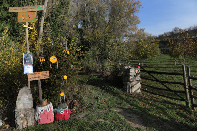 Br&aacute;gimo - Un proyecto de puesta en valor de su arbolado nacido de una iniciativa vecinal de las localidades palentinas de Valoria del Alcor y Ampudia participa en un concurso del Ministerio de Medioambiente y Transici&oacute;n Ecol&oacute;gica