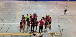 BM Fuentes Carrionas