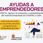 Subvenciones24_Empresas_300x250