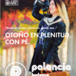 puentes dipu palencia 300×400