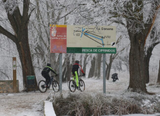 Palencia bajo la helada y la cencella Dársena del Canal de Castilla en Palencia. / Brágimo (ICAL)