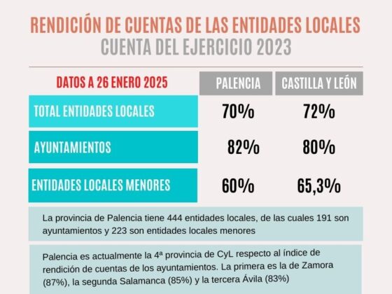 Consejo de cuentas. Diputaci&oacute;n de Palencia