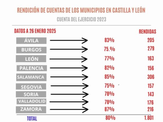 Consejo de cuentas. Diputaci&oacute;n de Palencia