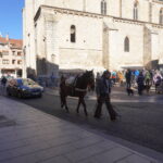Bendición de los animales cpn motivo de San Antón Abad, en la iglesia de San Miguel